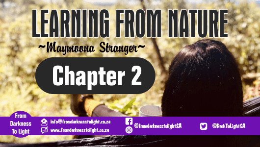 Chapter 2 - Learning from Nature